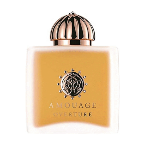 Amouage Overture Man
