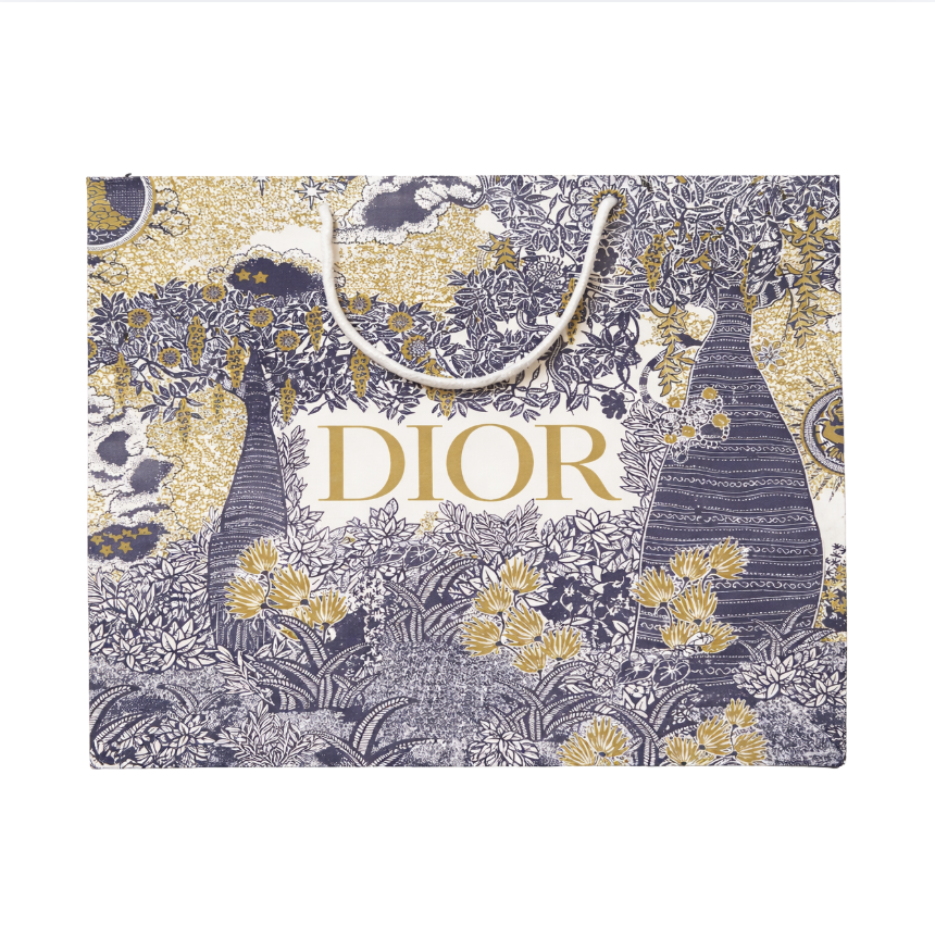 Dior Gift Bag