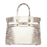 Her.mes | Birkin 30 Himalaya Niloticus Crocodile Handbag