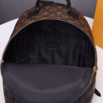 LV Palm Springs MM Backpack - Image 6