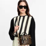 LV Vanity PM - Image 7