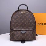 LV Palm Springs MM Backpack - Image 2