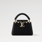 LV CAPUCINES mini handbag