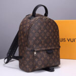LV Palm Springs MM Backpack - Image 3