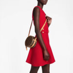 LV Boite Chapeau Souple PM Bag - Image 6