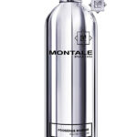 Montale Fougères Marine EDP 100 ml | Perfume Dubai UAE