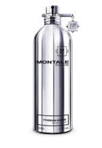 Montale Fougères Marine EDP 100 ml | Perfume Dubai UAE