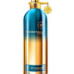 Montale Day Dreams 100ml EDP | Tropical Perfume| Perfume Dubai