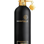 Montale Oudyssey EDP 100 ml – Oud Perfume | Perfume Dubai