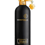 Montale Oud Island EDP 100ml – Oud Perfume | Perfume Dubai