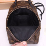LV Palm Springs Mini Backpack - Image 6