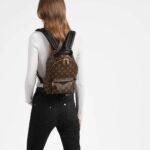 LV Palm Springs PM Backpack - Image 7