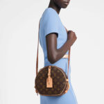 LV Boite Chapeau Souple MM Bag - Image 6