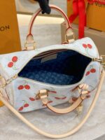 LV x TM SPEEDY SOFT BANDOULIÈRE 30 handbag - Image 6