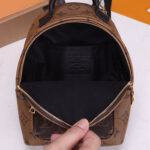 LV Palm Springs Mini Backpack - Image 6