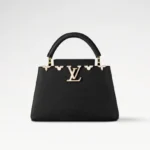 LV Small CAPUCINES BB handbag