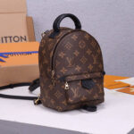 LV Palm Springs Mini Backpack - Image 3