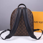LV Palm Springs MM Backpack - Image 4