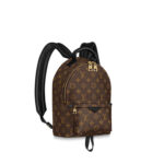 LV Palm Springs PM Backpack