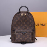 LV Palm Springs PM Backpack - Image 2