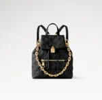 LV Coussin Backpack PM - Image 6