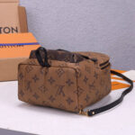 LV Palm Springs Mini Backpack - Image 5