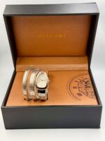Branded Snake Watch, Champagne Watch Face, Rose Gold & Silver - Image 2