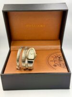 Branded Snake Watch, Champagne Watch Face, Gold & Silver - Image 2