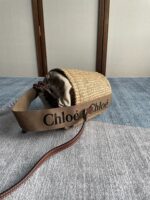 SMALL WOODY BASKET 17 IN NATURAL FIBERS BROWN WEBBING DARK BROWN CALFSKIN - Image 16