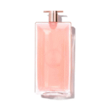 New Perfumes | Fragrances & More | Nice One KSA - Image 8