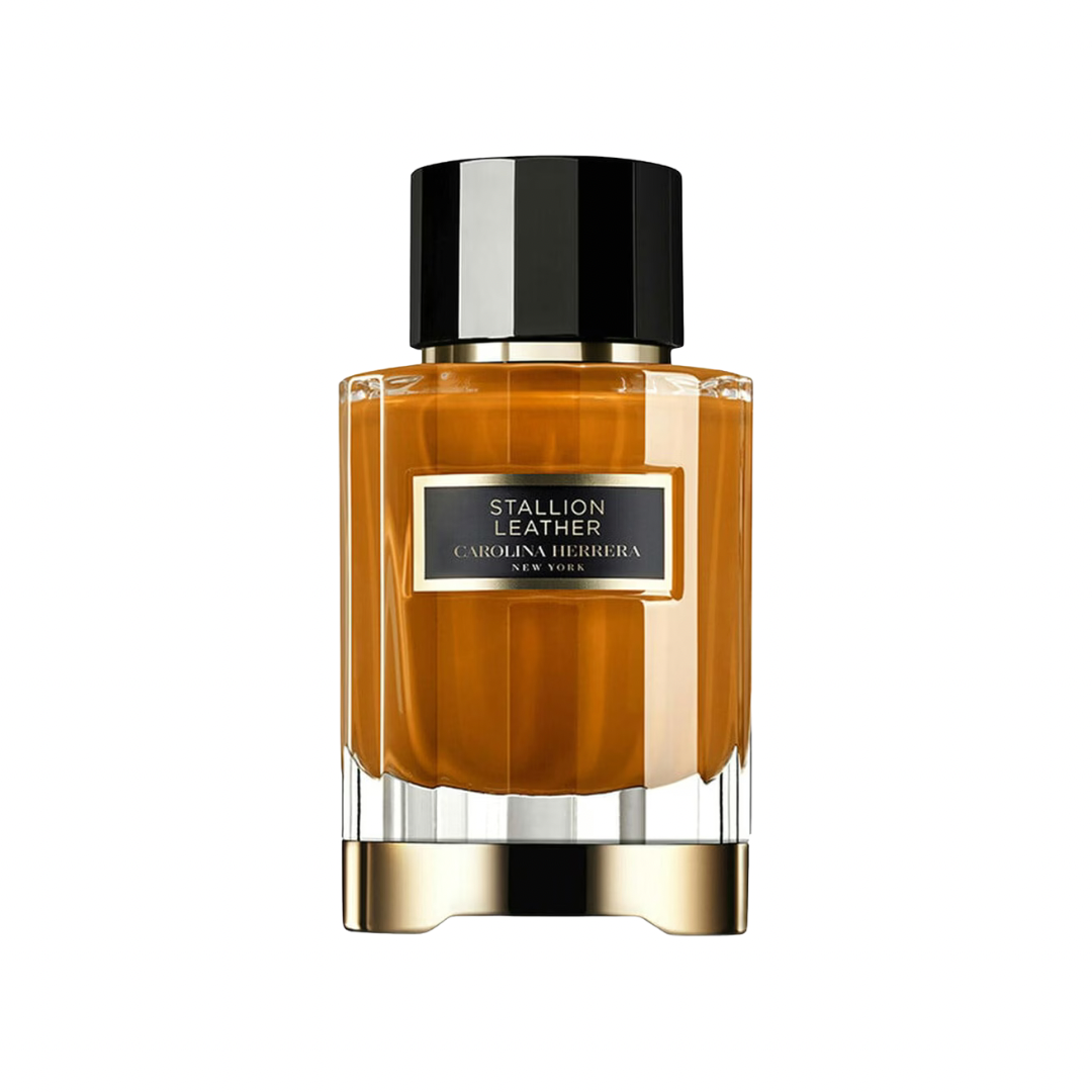 IMG-2466 Stallion Leather Carolina Herrera - Image 1