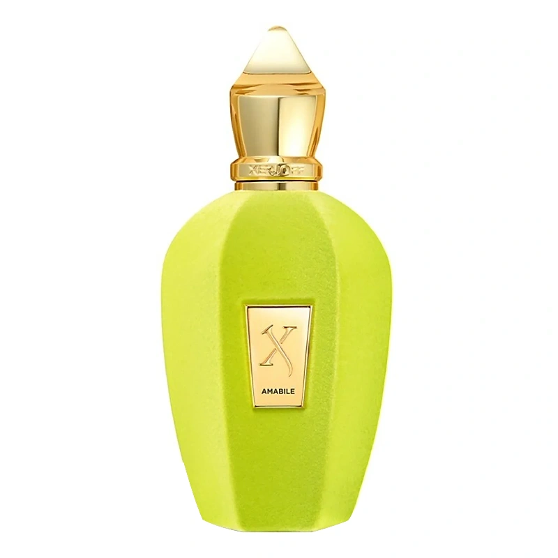Xerjoff-V-Amabile-EDP-100ML-1 Xerjoff Amabile EDP 100ML (Unboxed) – Niche Gallery - Image 1