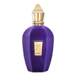 Xerjoff Accento Eau de Parfum 100ML (Unboxed) – Niche Gallery